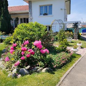 Chambre D'Hotes Les Hortensias Bed and Breakfast Gelos Exterior photo