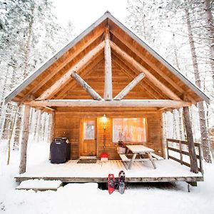 Chalets Huttopia In The White Mountains Albany Exterior photo