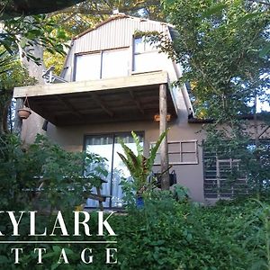 Skylark Cottage Bathurst Exterior photo