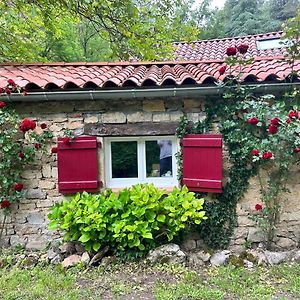 Chambre En Bordure D'Aveyron Bed and Breakfast Saint-Antonin Exterior photo