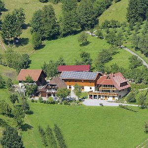 Apartamento Schlossberghof Haslach im Kinzigtal Exterior photo