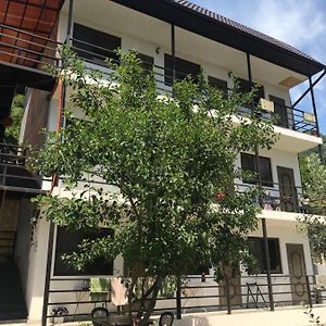 Arle Guest House New Athos Exterior photo