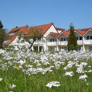 Hotel Gaestehaus Steker Bad Driburg Exterior photo