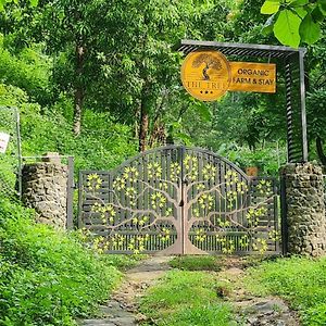 The Tree Organic Farm And Stay - Non Alcoholic Property Mannarakkat Exterior photo