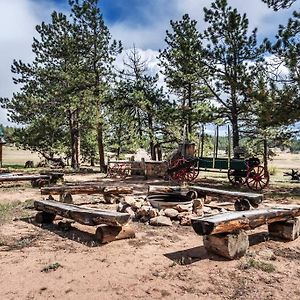 New! Adorable Cabin In Colorado National Forest Lake George Exterior photo