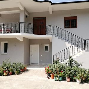 Apartamento Bujtinat Peci Elbasan Exterior photo