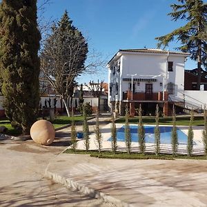 Casa Rural Del Cedro Villa Pulgar Exterior photo