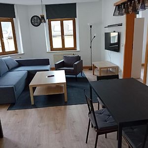 Apartamento Zentral Und Ruhig In Auerbach Auerbach  Exterior photo