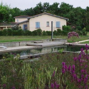 Hotel La Maison De Lestang Montbeton Exterior photo