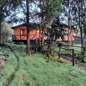 Casa O Habitacion En Carretera Austral Hostal Puerto Montt Exterior photo