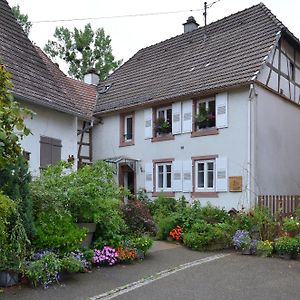 Maison D'Hotes La Renardiere Bed and Breakfast Reichshoffen Exterior photo