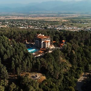 Zuzumbo Resort & Spa Telavi Exterior photo