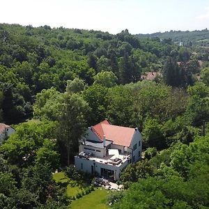 Villa Viridis Bükkalja Borsodgeszt Exterior photo