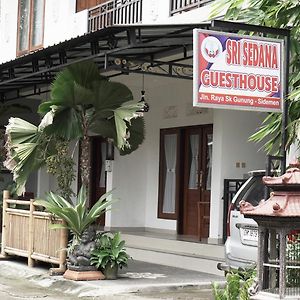 Sri Sedana Guest House Sidemen  Exterior photo