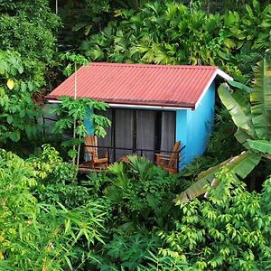 Villas In Sueño Private Jungle Villas Manuel Antonio Exterior photo