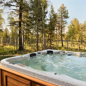 Spacious Family Cabin At Cedar Mountain W Hot Tub Divide Exterior photo