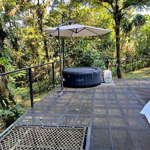 Roble Coral Glamping Bed and Breakfast Sarapiquí Exterior photo