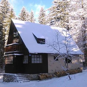 Enchanted Forest Chalet Villa Tatranská Štrba Exterior photo