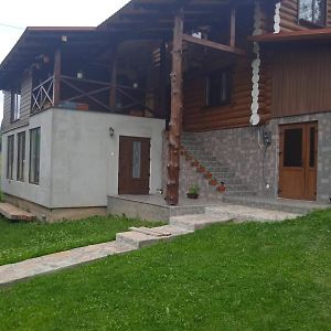 Садиба У Пасічника Hostal Pilipets Exterior photo