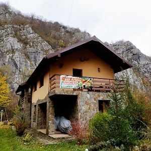 Casa Artemi Villa Remeţi Exterior photo