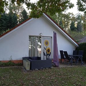 Maisonnette Avec Piscine Villa Daumazan-sur-Arize Exterior photo