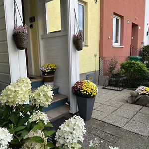 Family Home Green Paradise With Garden & Free Parking Salzburgo Exterior photo