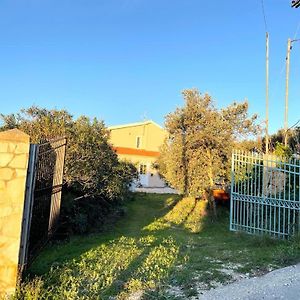 Les Oliviers Villa With Sea View On Petani Beach Vóvikes Exterior photo