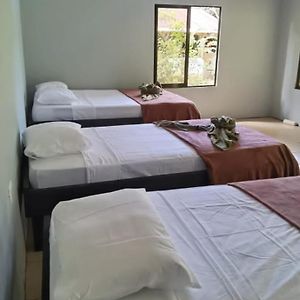 Cabinas Corcovado Green Parrot, Los Planes Drake Bed and Breakfast Drakes Bay Exterior photo