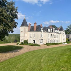 Chateau Dans Le Val De Loire Coulanges Exterior photo