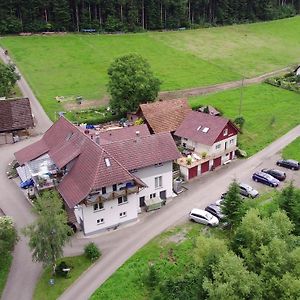 Müllerleile-Hof Villa Haslach im Kinzigtal Exterior photo