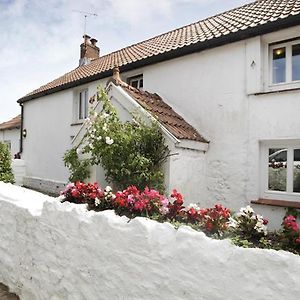 Bull Croft Cottage Oxwich Exterior photo