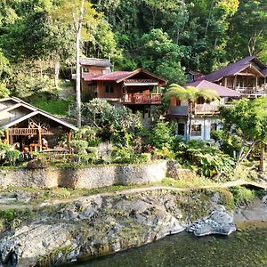 Kupu Kupu Garden Guest House & Cafe Bukit Lawang Exterior photo