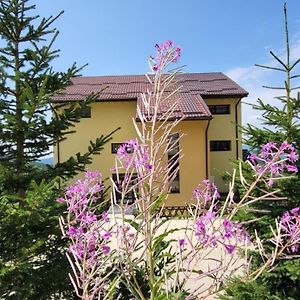 Hotel Pension Valea Mariei Ranca Exterior photo