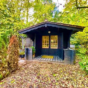 Tiny Haus Glamping - Natur Park Schlangenbad Exterior photo