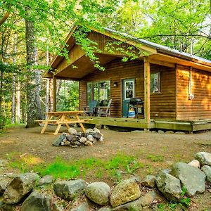 Mersey River Chalets A Nature Retreat Caledonia Exterior photo