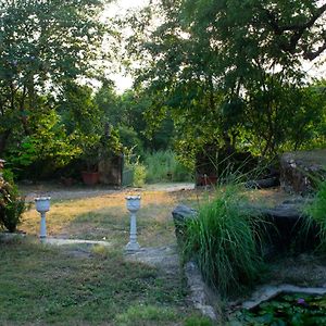 Titardi Garh- 18Th Century Castle Homestay Udaipur Exterior photo