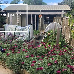 Apartamento Kaka Ridge Retreat Bush Hideaway Tawharanui Exterior photo