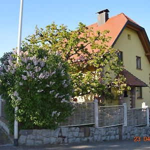Burgblick Villa Lauf Exterior photo