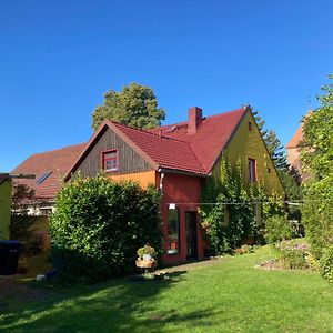 Villa Kunterbunt: Urgemütlich und fast perfekt Hohen Wangelin Exterior photo