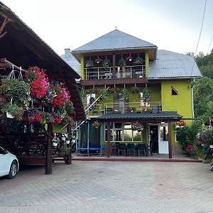 Hotel Pensiunea Gaiu Albac Exterior photo