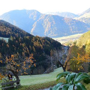 Apartamento Martlerhof Urlaub Auf Dem Bauernhof Campo di Trens Exterior photo