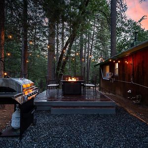 Nature'S Nook - Blissful Cabin In The Woods Placerville Exterior photo