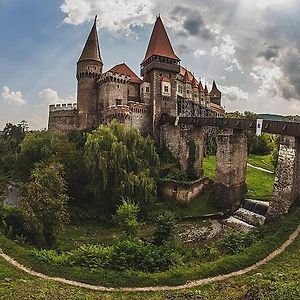 Affordable Apartment Close To The Castle Hunedoara Exterior photo