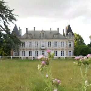 Chateau De Famille En Poitou Coudavid Exterior photo