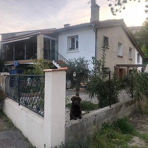 Apartamento Bienvenue « A L'Ombre Du Figuier » Pieusse Exterior photo