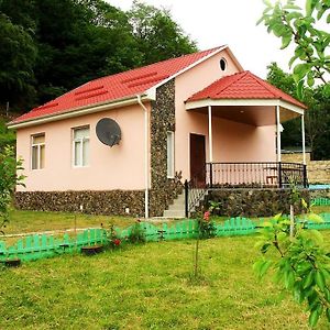 Guliyev Home Qax Exterior photo
