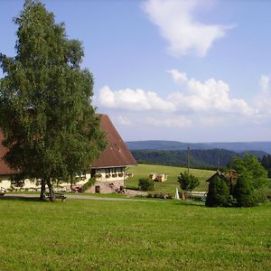 Ackerhof Villa Wolfach Exterior photo