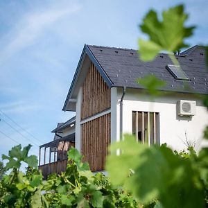 Domaine Edegger - Organic Winery Badacsony Aparthotel Badacsonytomaj Exterior photo