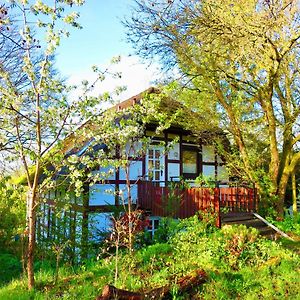 Apartamento Natururlaub Frankenau Exterior photo