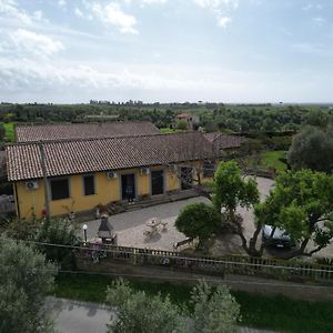 Le Casette In Collina Villa Cerveteri Exterior photo